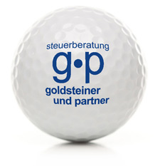Logo goldsteiner und partner